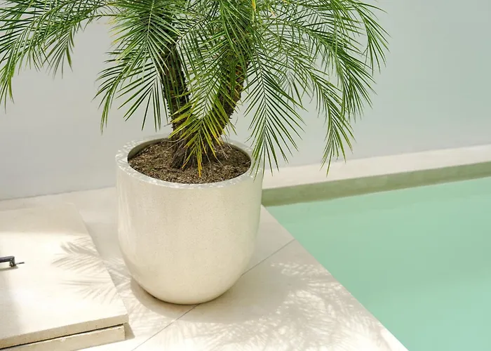 New Luxury Twenty Seven - Private Pool - 5 Minutes To Villa